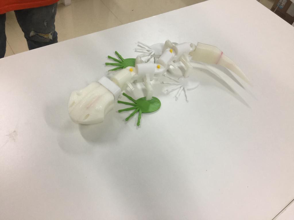 学生作品-仿生蜥蜴